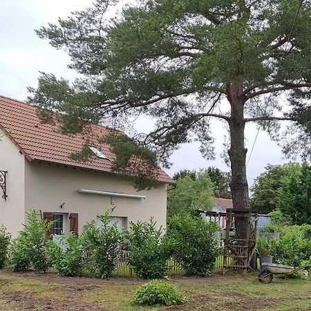 Proche Chateaux Et Zoo De Beauval: Gite De Sologne Pruniers Exterior foto